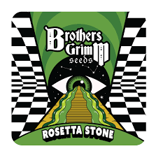 BROTHERS GRIM SEED PACKS / Rosetta Stoned - 9 seeds